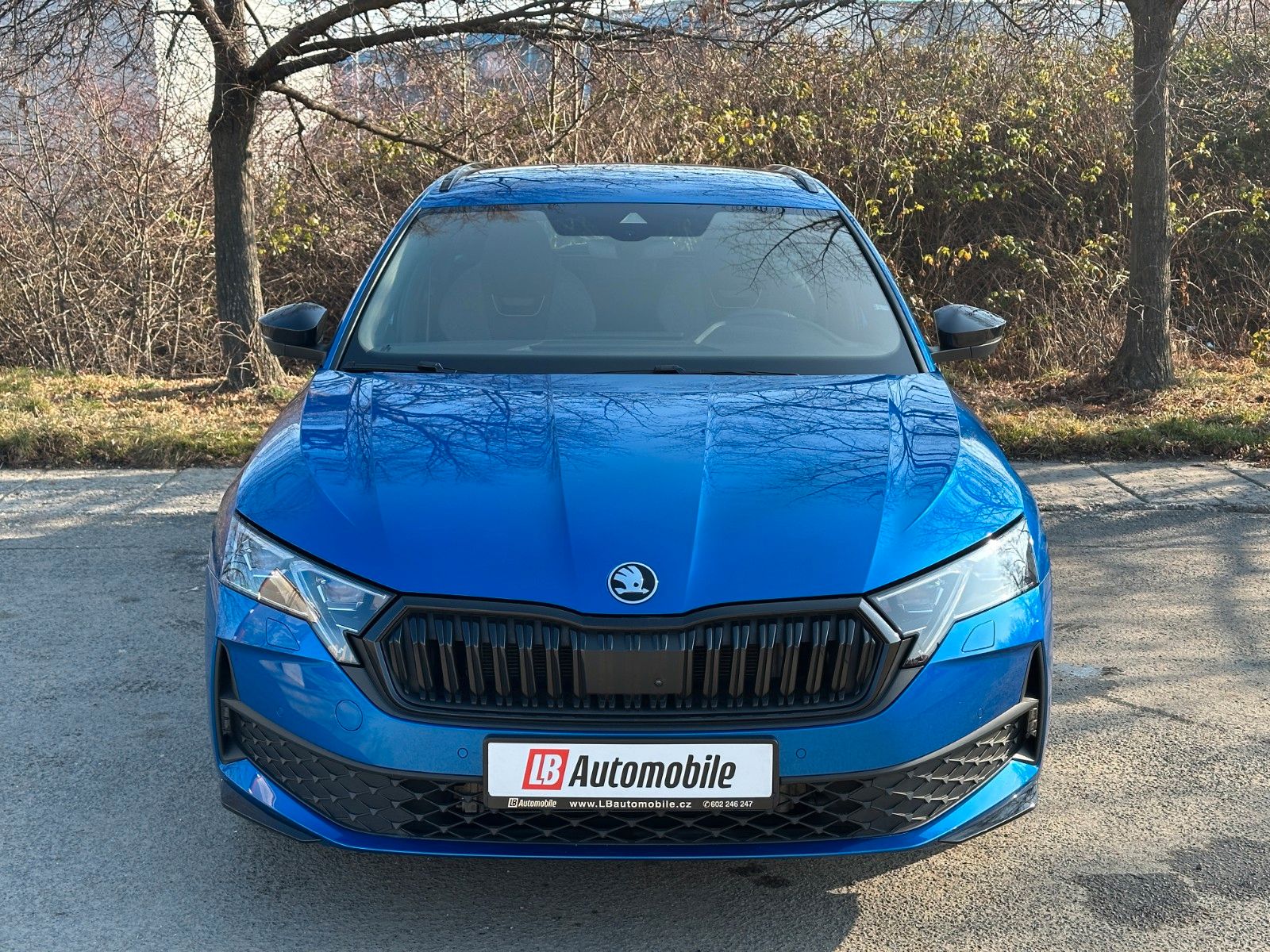 Skoda 2.0TSi 4x4 Sportline NAVI KAMERA eHK LM18"AHK