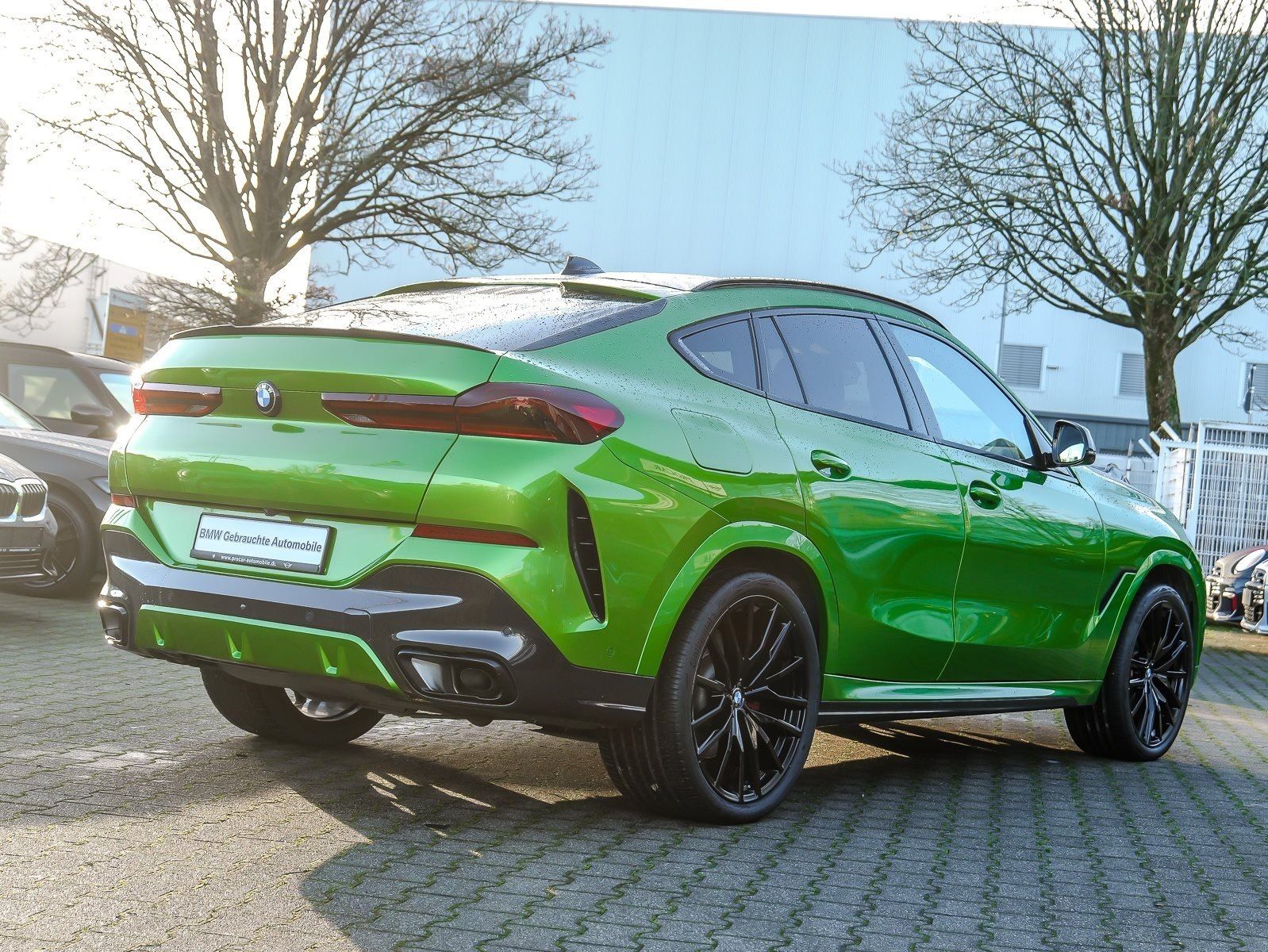 BMW X6 xDrive40d M Sport+Individual JAVA GRÜN+PANO+M