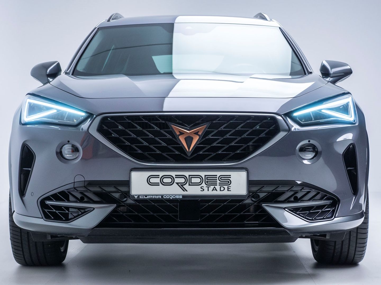 Cupra Formentor VZ 4Drive 2.0 TSI AHK ACC Automatik Ap