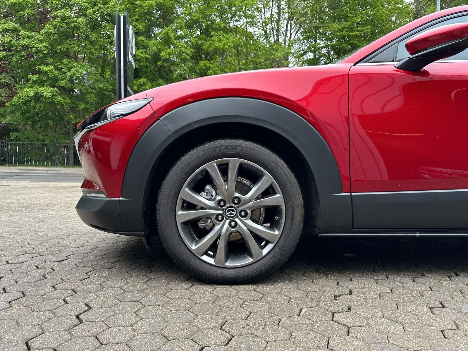 Mazda CX-30 150PS Exclusive 6AT Bose, 360°, Matrix LED