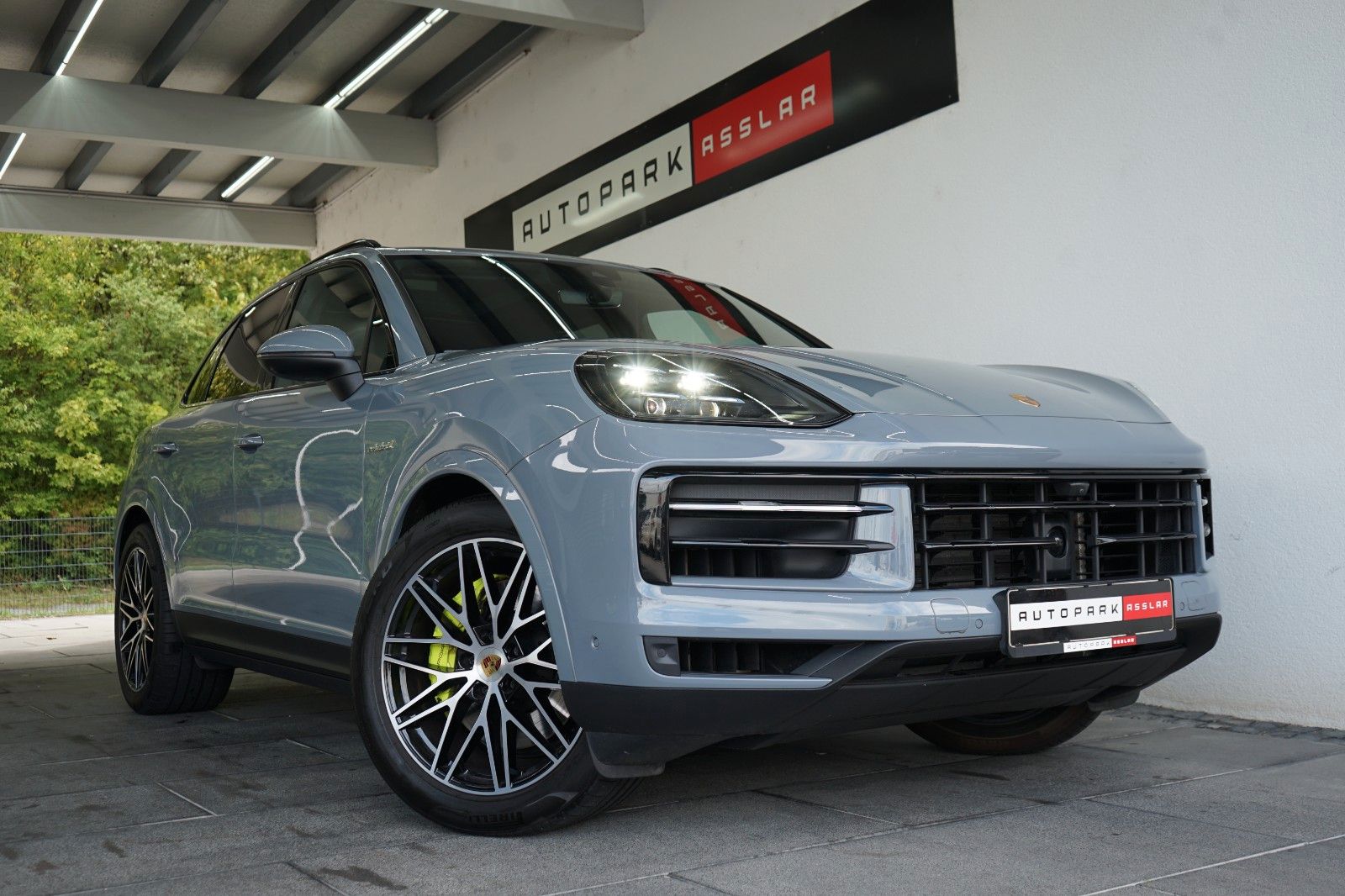 Porsche Cayenne E-Hybrid/P-Display/HAL/HD/14W/INNO/360°