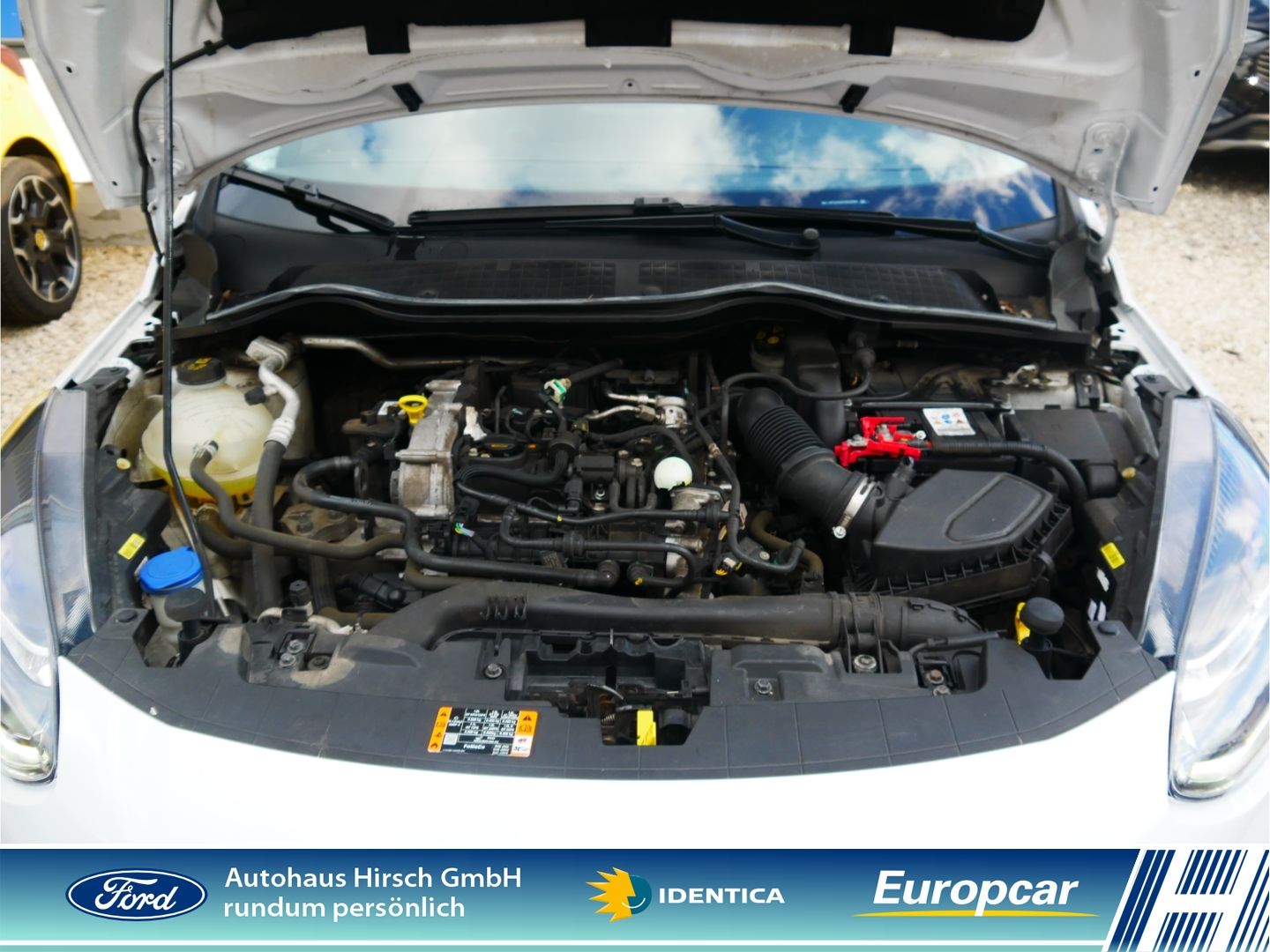 Ford Fiesta Active 1.0 EcoBoost M-Hybrid - Samsaru's Car Outlet