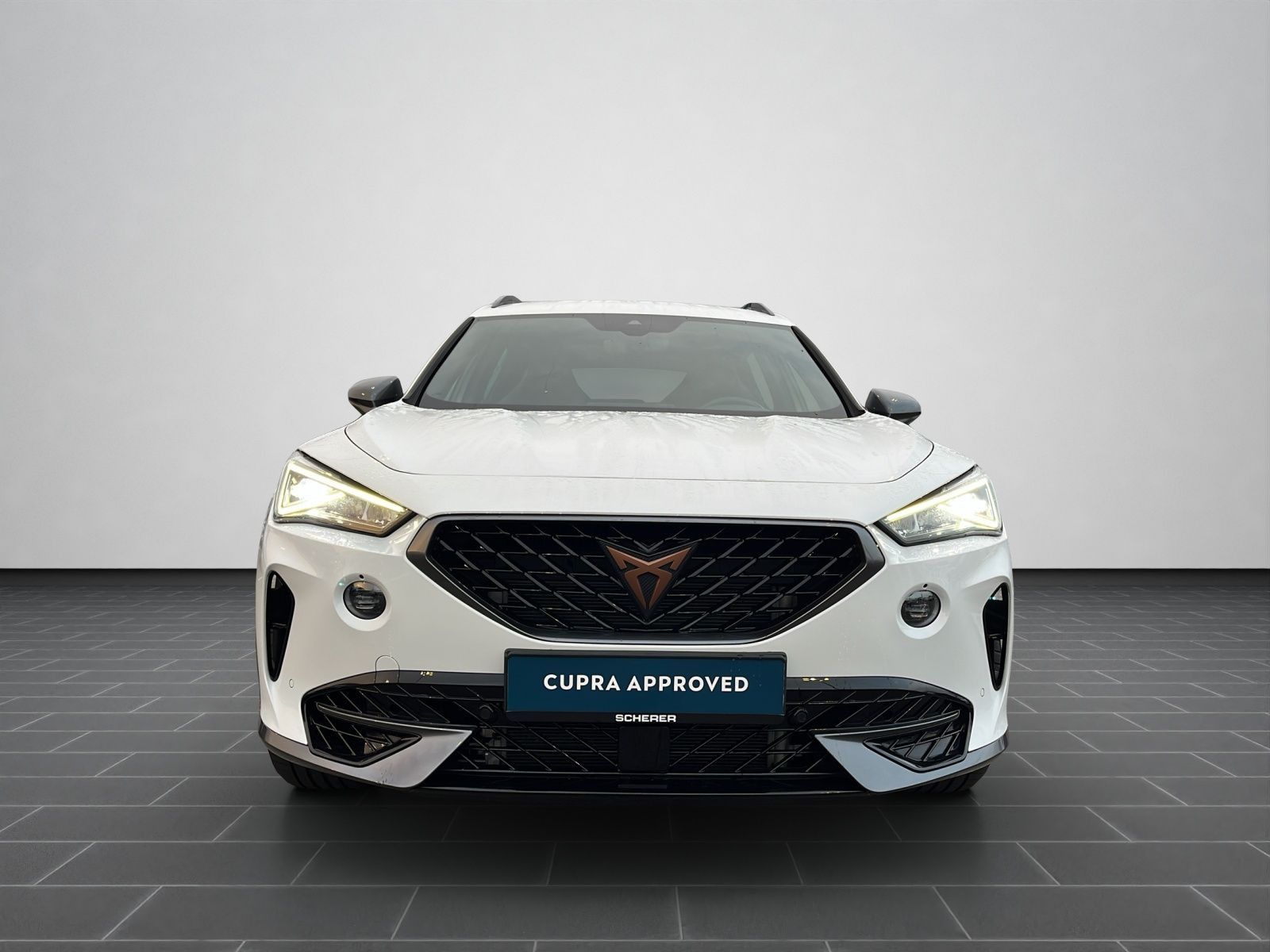 Cupra Formentor VZ 2.0 TSI DSG LED NAVI AHK SHZ RFK