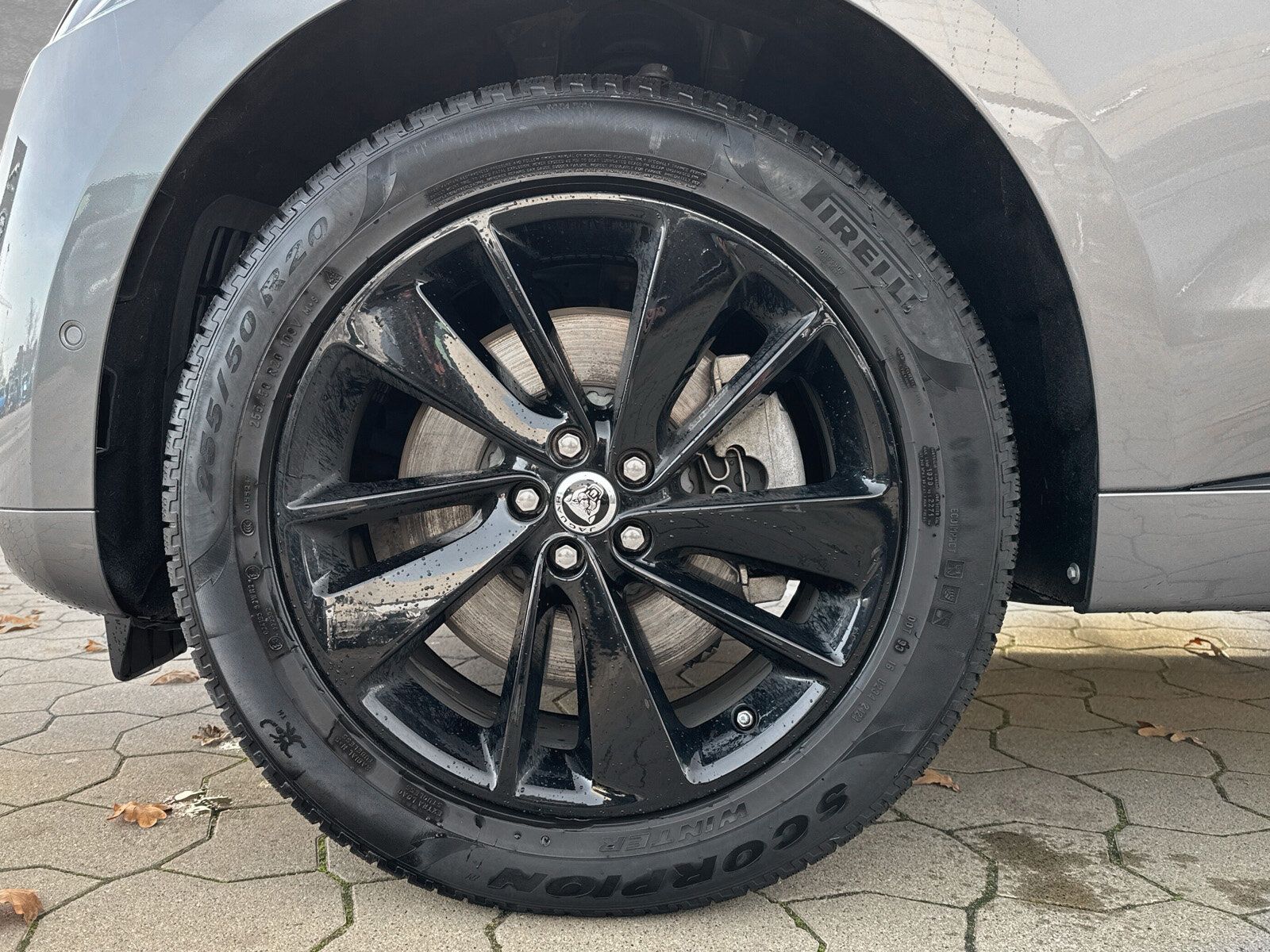 Jaguar F-PACE D300 R-Dyn. SE AHK HUD Dachrel. Winter-Pa