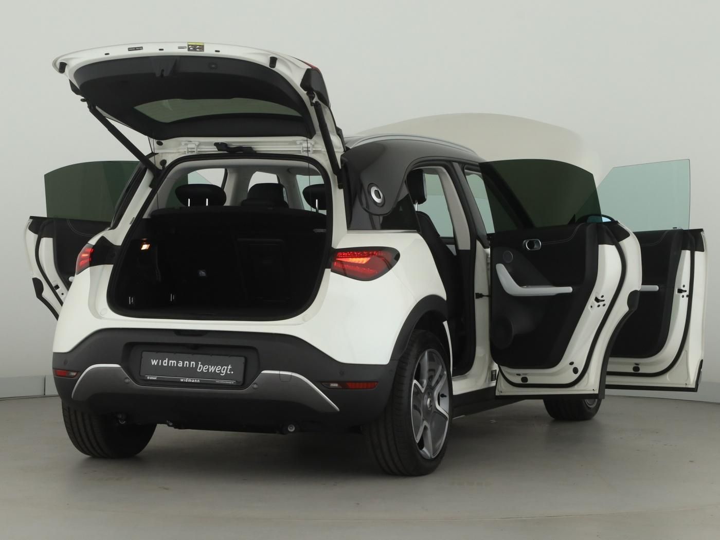 Smart #1 Pulse