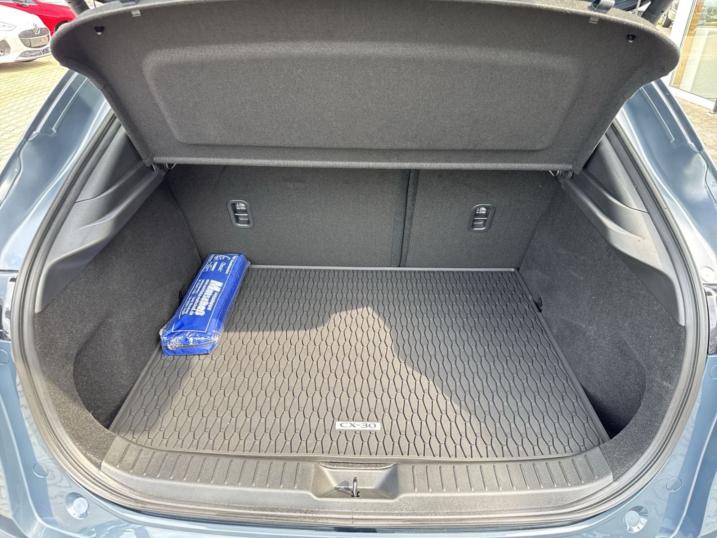 Mazda CX-30 Homura e-SKYACTIV-G HUD Navi LED ACC El. H