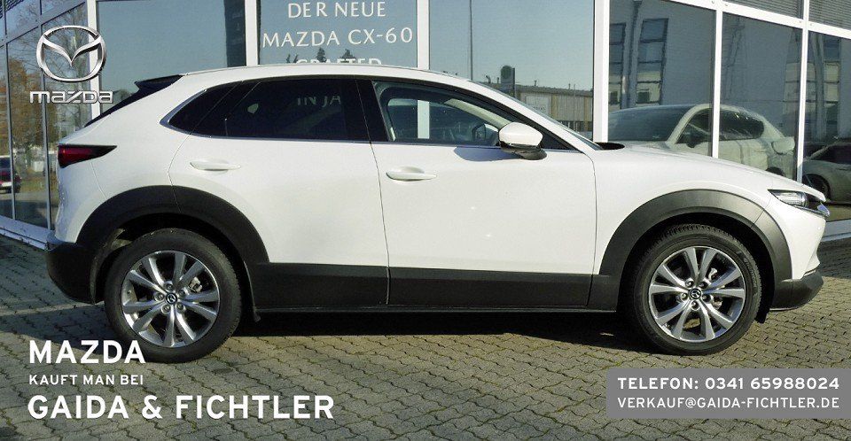 Mazda CX-30 e-SKYACTIV G 140 PS Automatik Takumi Leder