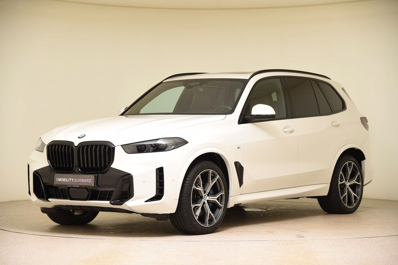 BMW X5 xDrive30d M Sport Pro Pano ACC H&K LED AHK
