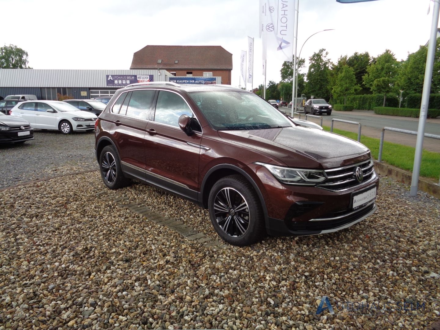 Volkswagen Tiguan Elegance 4Motion 2.0 TDI HUD AHK Panodach