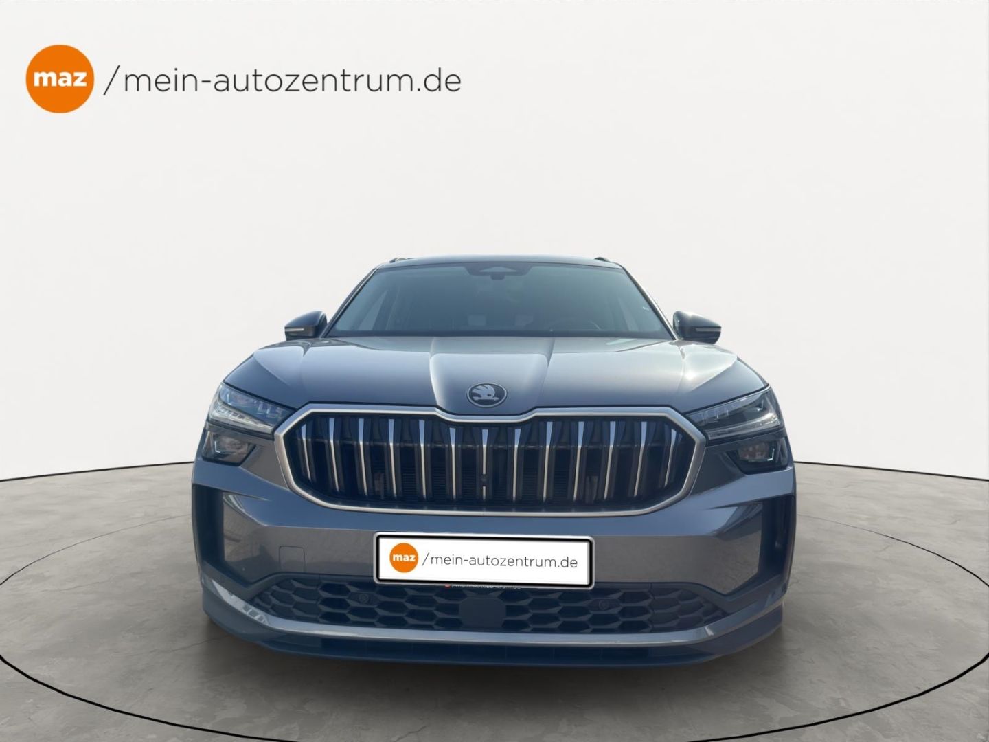 Skoda Kodiaq 2.0 TDI 4x4 Selection Alu LED AHK Ledere