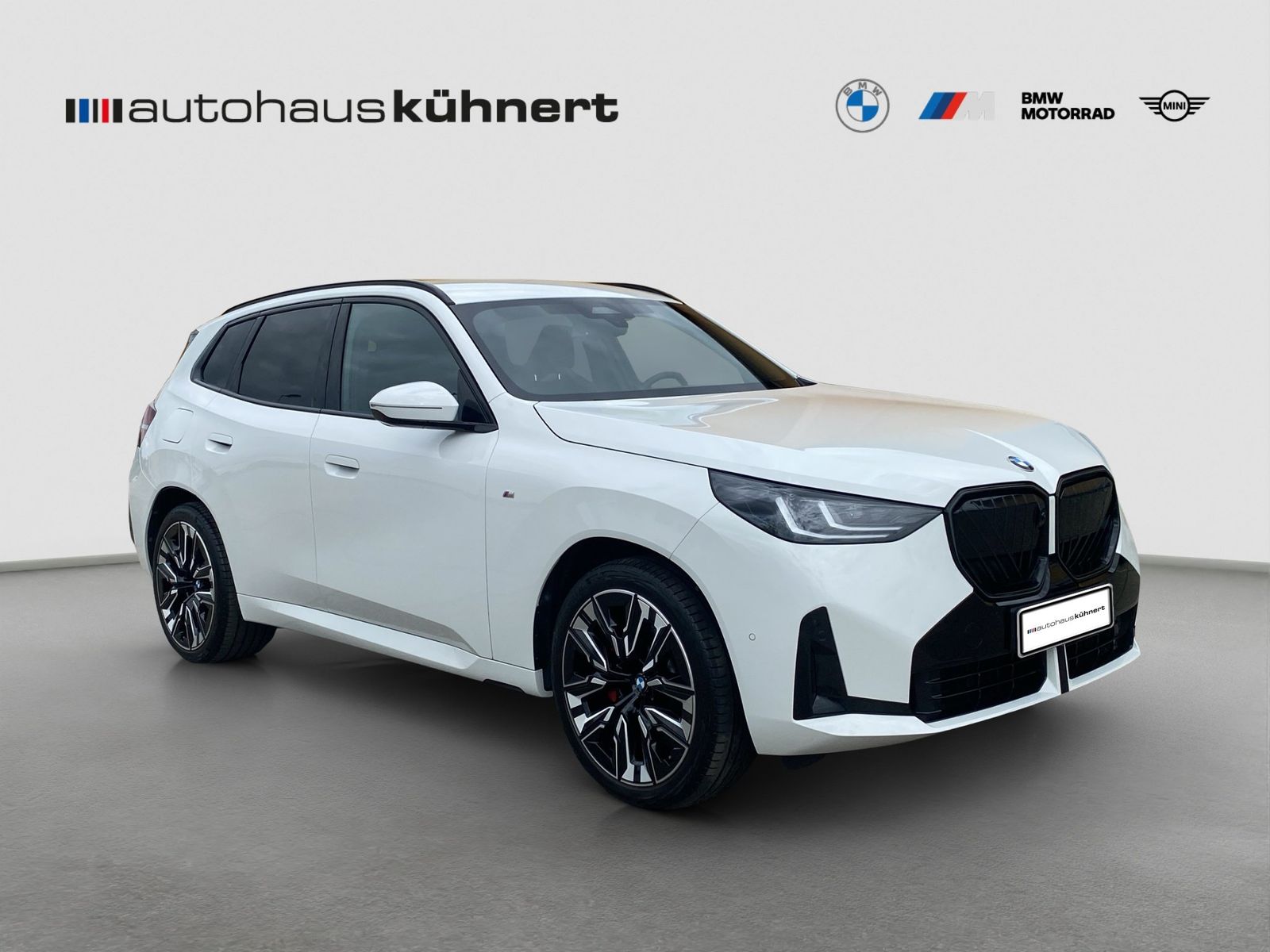 BMW X3 30e xDrive ///M-Sport PRO ACC AHK SpurAss 360