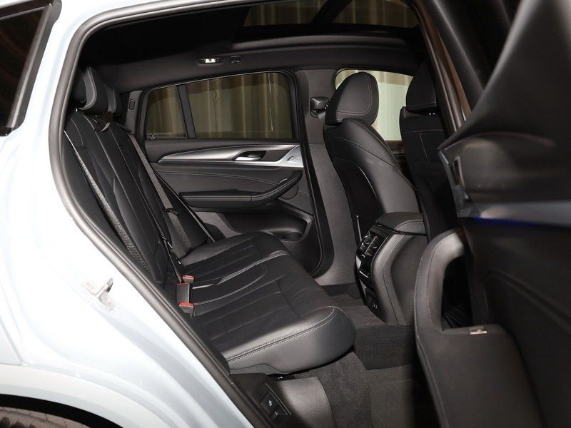 BMW X4 xDrive30d M Sport 20Zoll Pano. DrivAss Laser