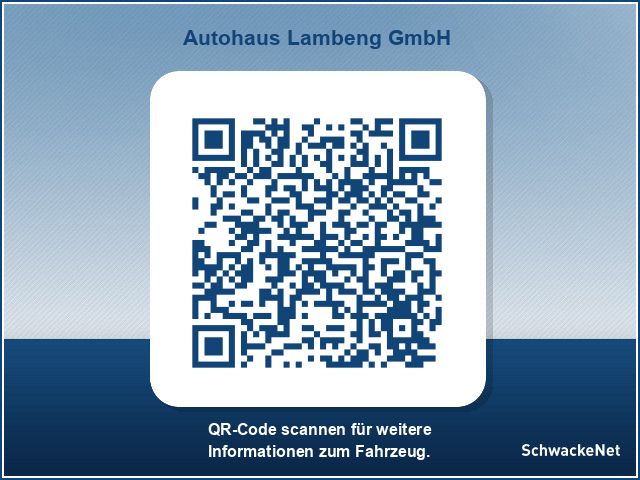 Toyota C-HR 2.0 Plug-in-Hybrid Team Deutschland