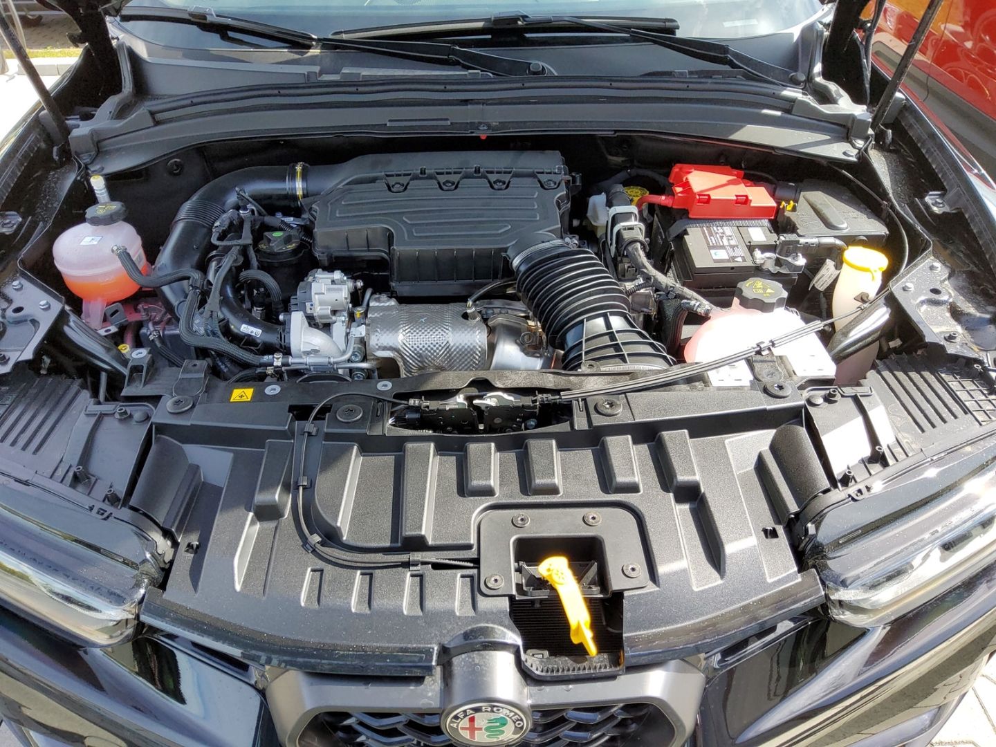 Alfa Romeo Tonale Intensa Sondermodell Navi, LHZ, 360°, 1,9