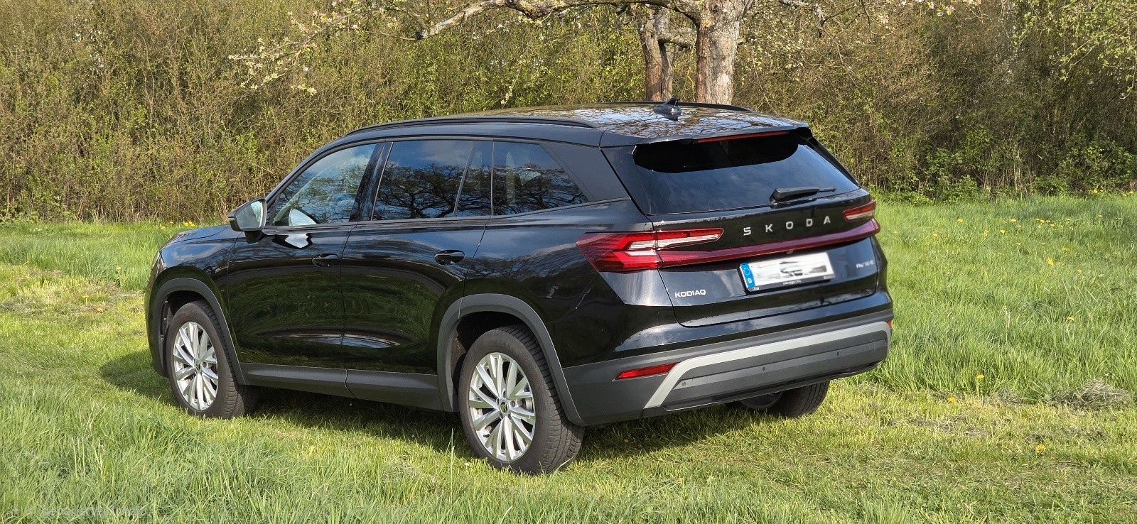 Skoda Kodiaq 2.0 TDI 142 kW 4x4 Selection *St-Hzg.*AHK