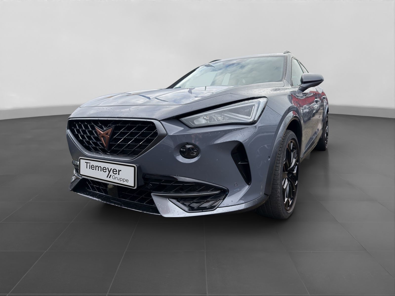 Cupra Formentor VZ 2.0 TSI BREMBO AHK PANO BEATS eKLAP