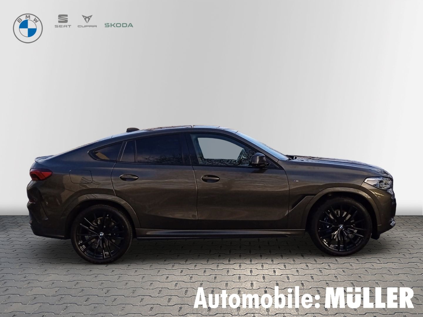 BMW X6 M50i Laserlicht HUD StandHZG AHK-klappbar TV