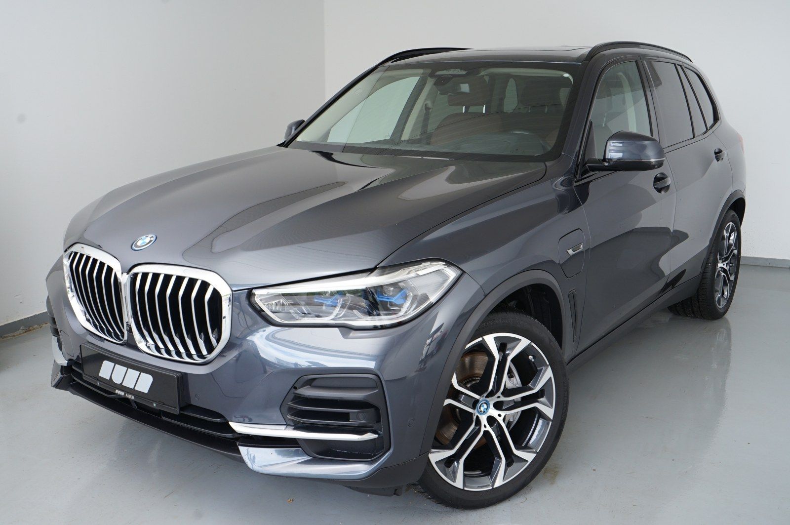 BMW X5 xDrive 45e (Navi AHK Pano HUD ACC B&W 360°)