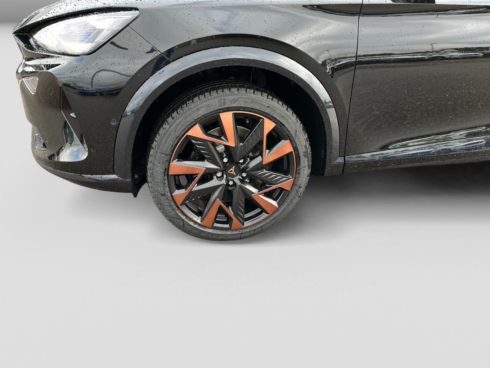 Cupra Formentor VZ 2.0 TSI 195 kW Sitzh.AHK Navi