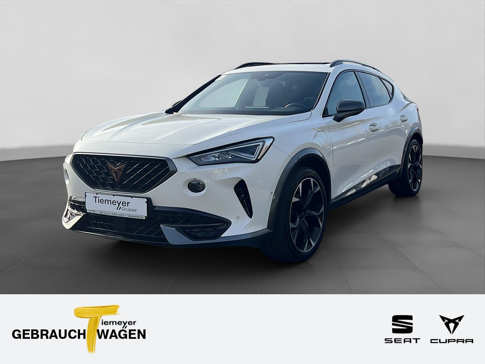 Cupra Formentor VZ eHybrid AHK PANO SIDE-ASSIST LM19