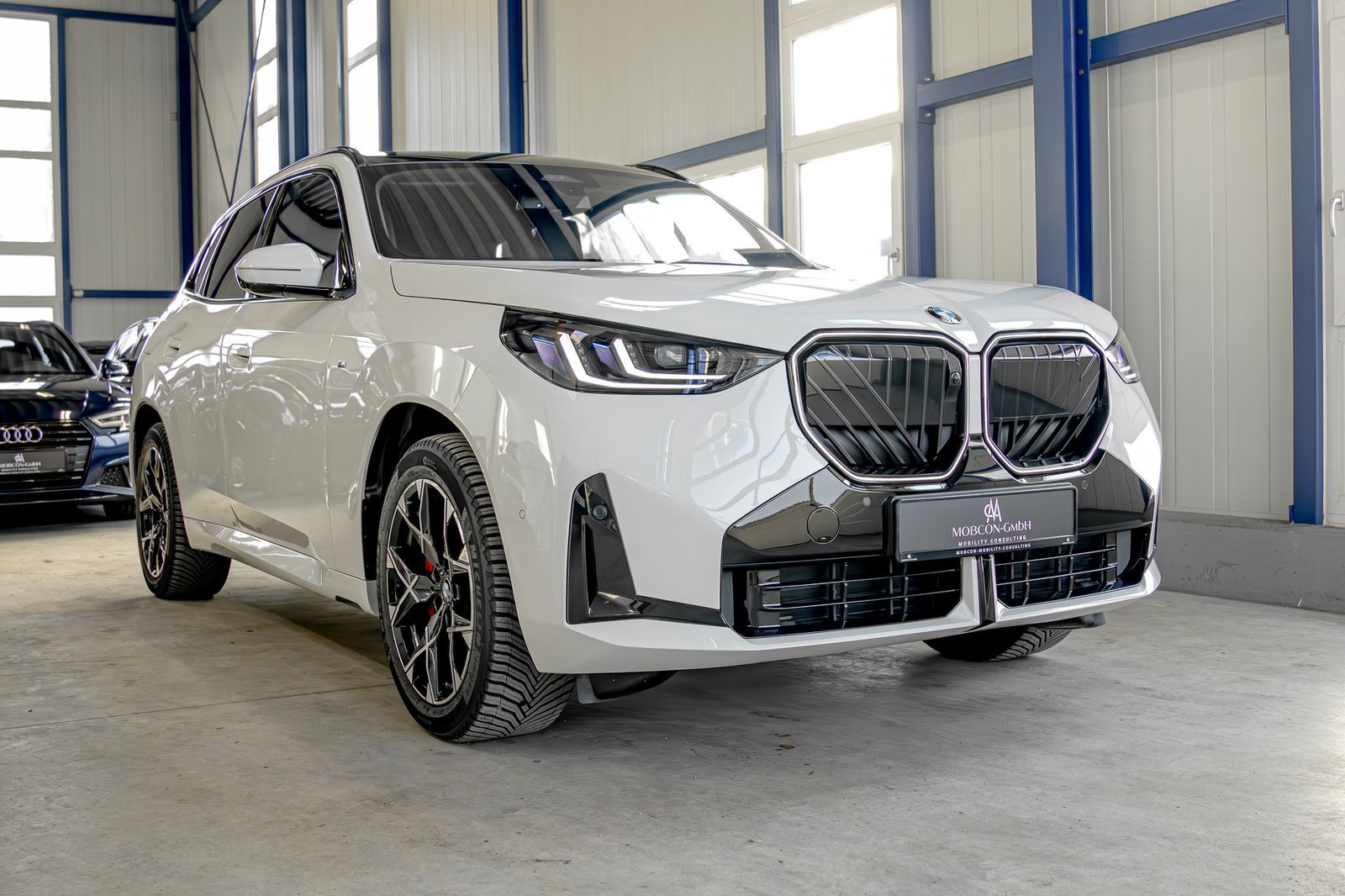 BMW X3 20 d xDrive M Sport Pro H&K|Pano|Premium|Inno