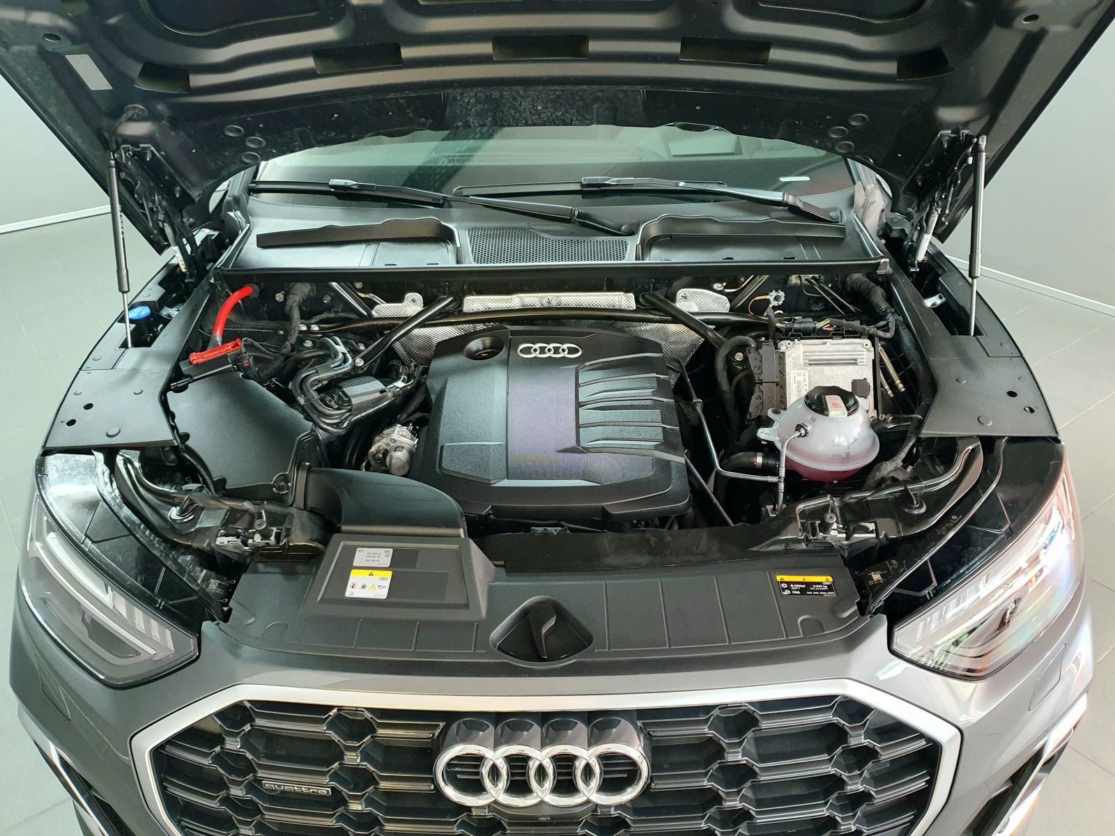 Audi Q5 40TDI qu. S tronic S line/Standhz/Pano/Luft