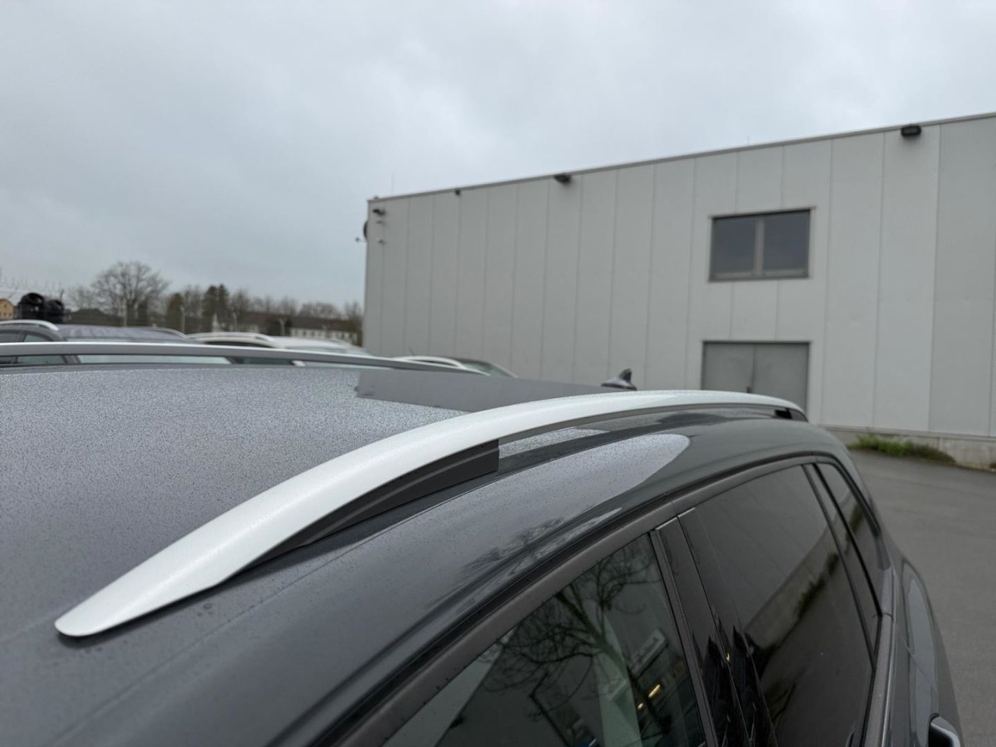Volkswagen Golf Variant 8 VIII Life 1.0 eTSI - Samsaru's Car Outlet