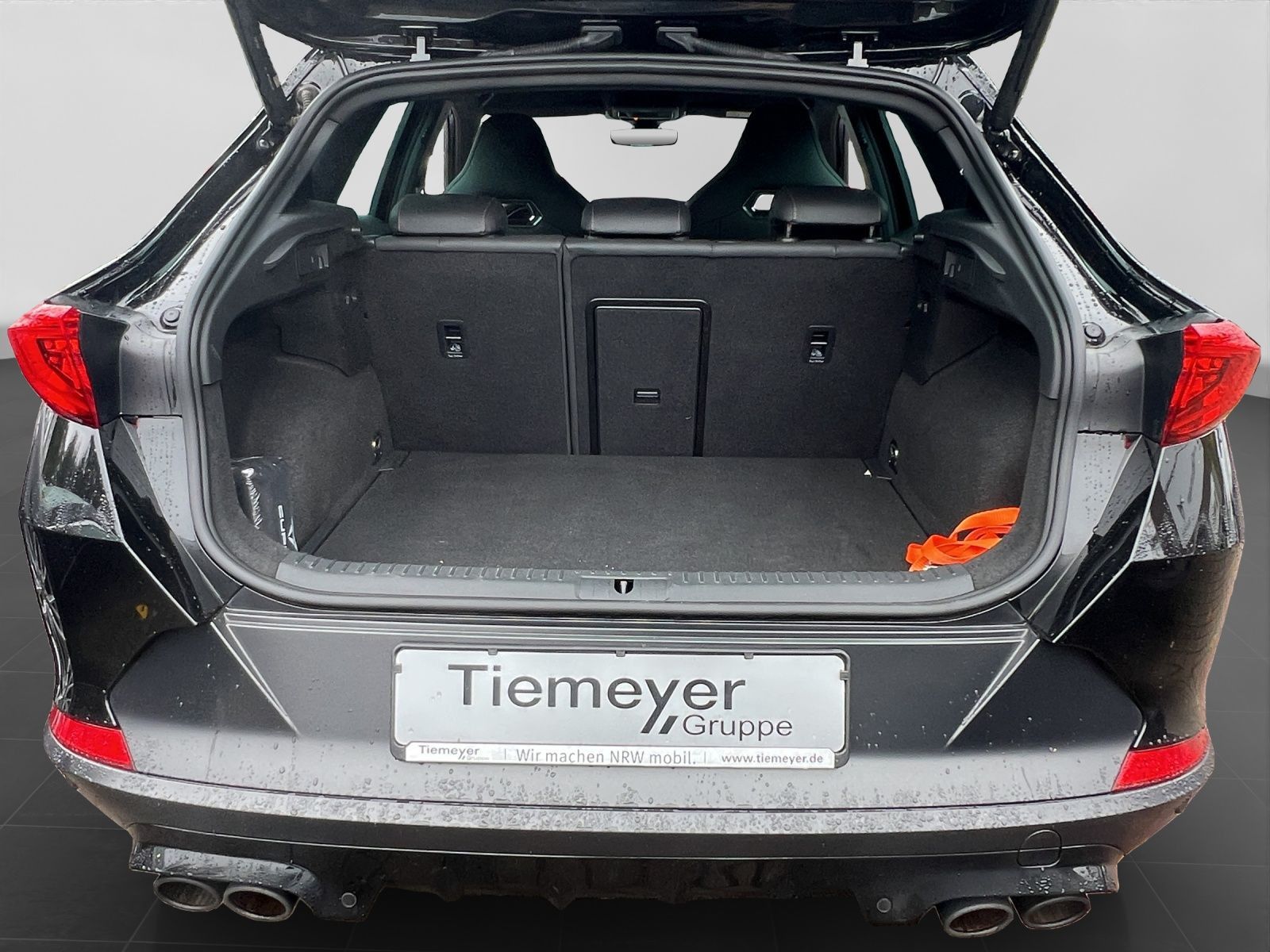 Cupra Formentor VZ TRIBE EDITION BREMBO BEATS AHK 360°