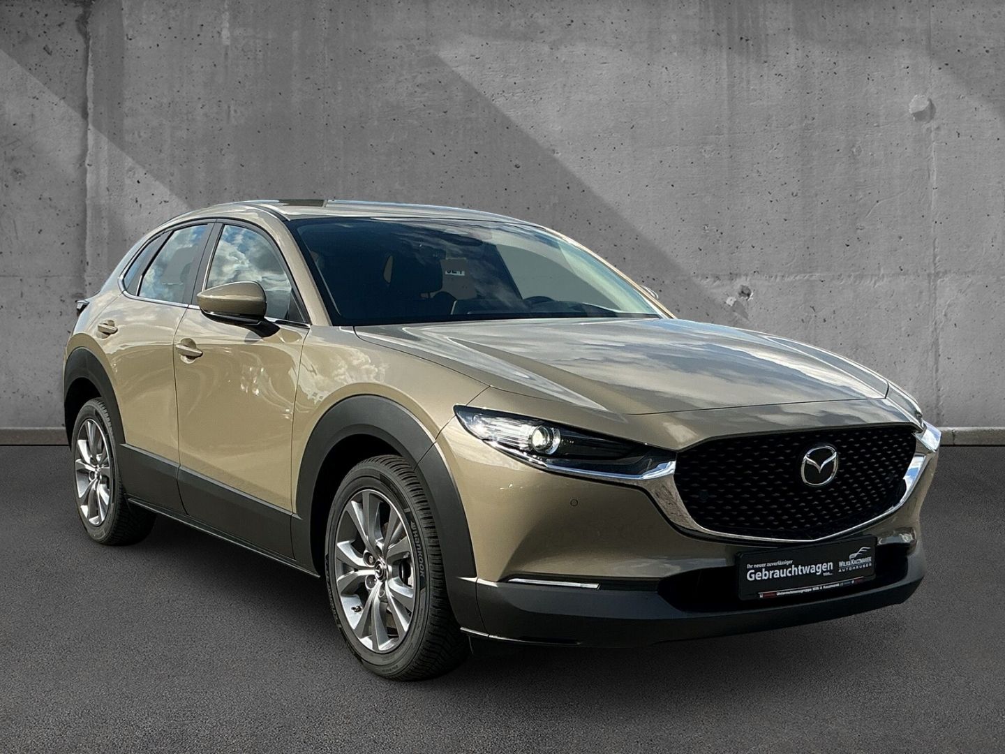 Mazda CX-30 2.0 AT Exclusive LED HUD Navi ACAA