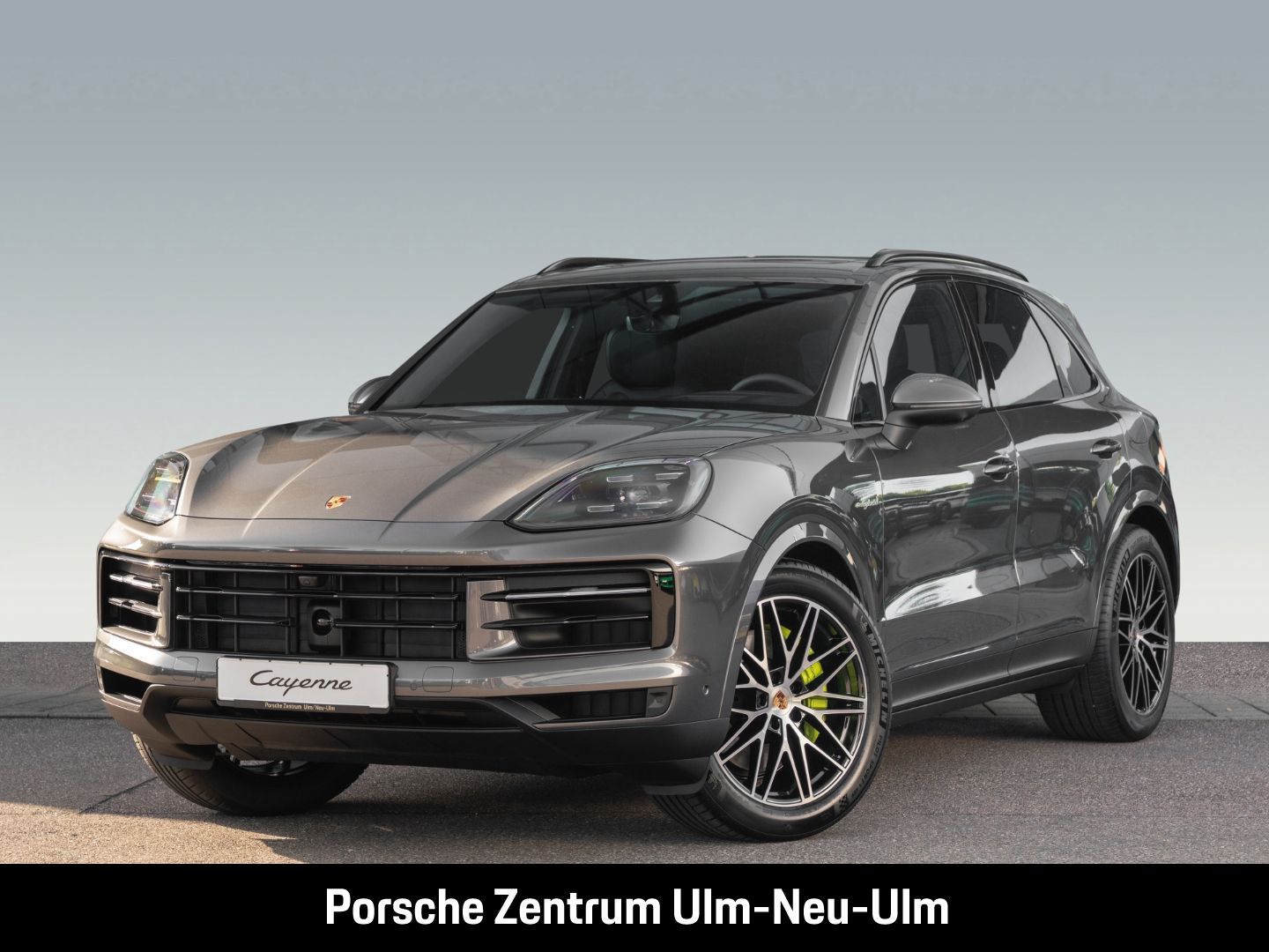 Porsche Cayenne E-Hybrid BOSE LED-Matrix Panoramadach