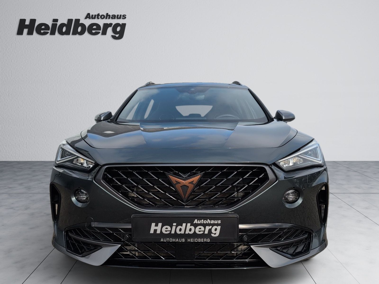 Cupra Formentor VZ 4Drive AHK-schw. 19" Copper Carplay