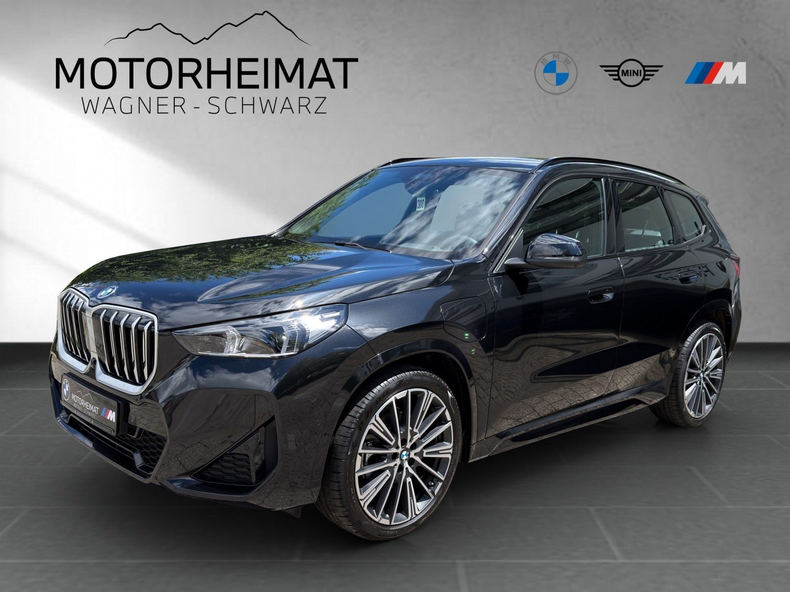 BMW X1 xDrive30e M Sport 20" H&K eSitze+Aktiv ACC