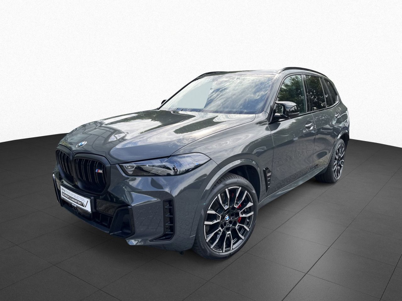 BMW X5 M60i xDri DA/PA-Pr,Pano,AHK,Leas.ab849,-/42M