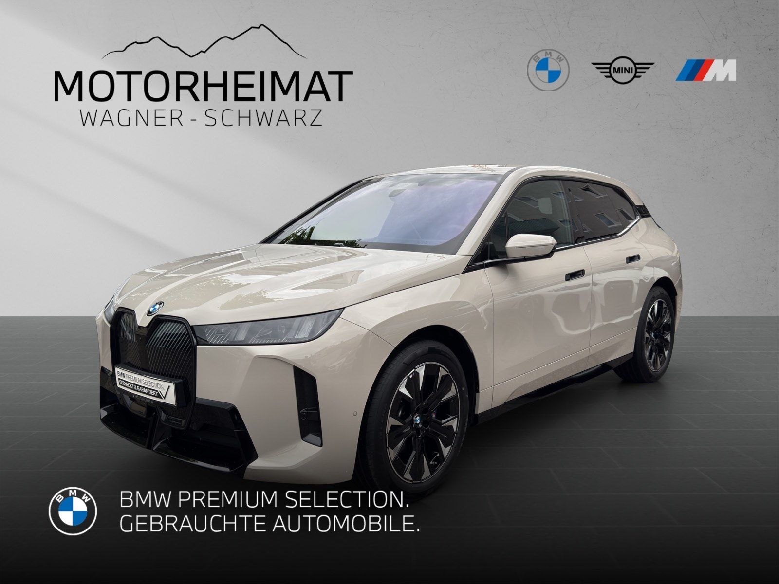 BMW iX xDrive60 M Sport Luftf.Aktivlenk H&K 0,99%