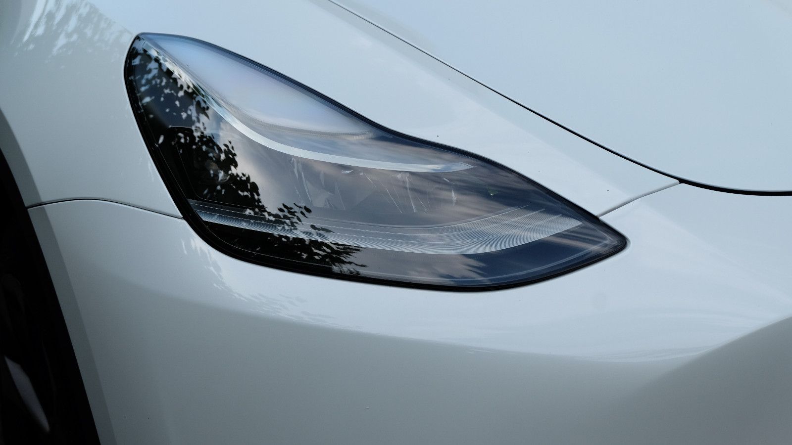 Tesla Model Y Long Range Dual AWD