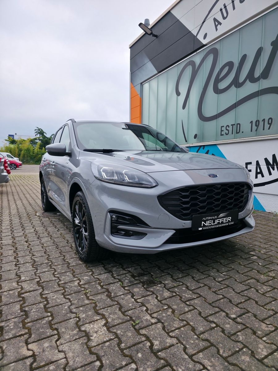 Ford Kuga Hybrid AWD - Samsaru's Car Outlet