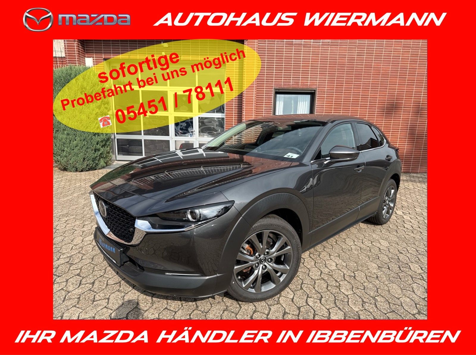 Mazda CX-30 SKYACTIV-X AT Selection Bose Des-P Act-P L
