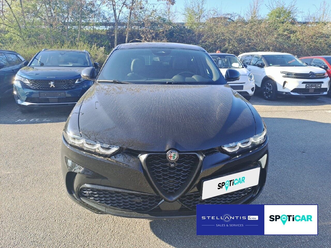 Alfa Romeo Tonale Veloce Plug-In-Hybrid 1.3 VGT Q4 *SZH*NAV