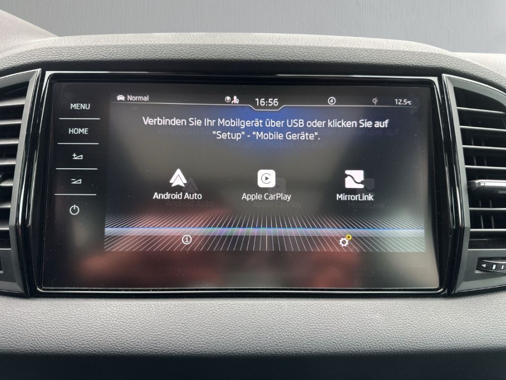 Skoda Karoq TDI 4x4 DSG Sportline AHK Pano Navi 360°