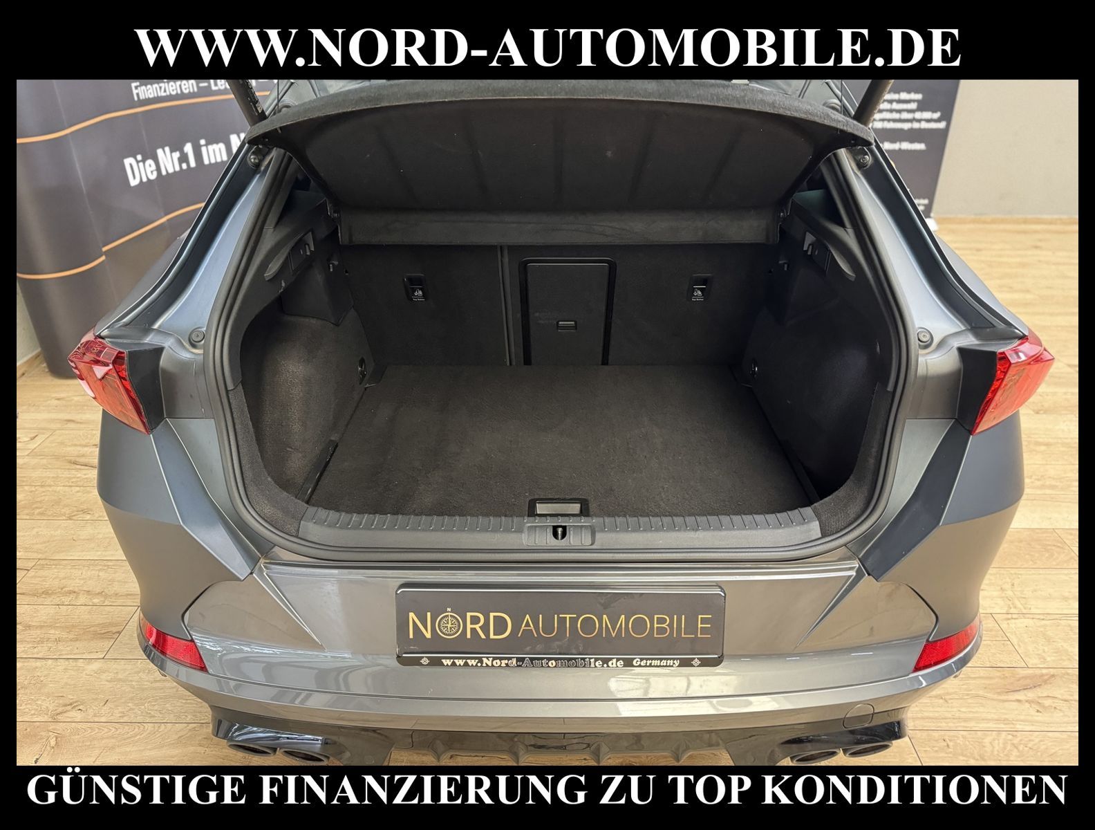 Cupra Formentor 2.0 TSI VZ AHK/Pano/Leder/Mattlack/