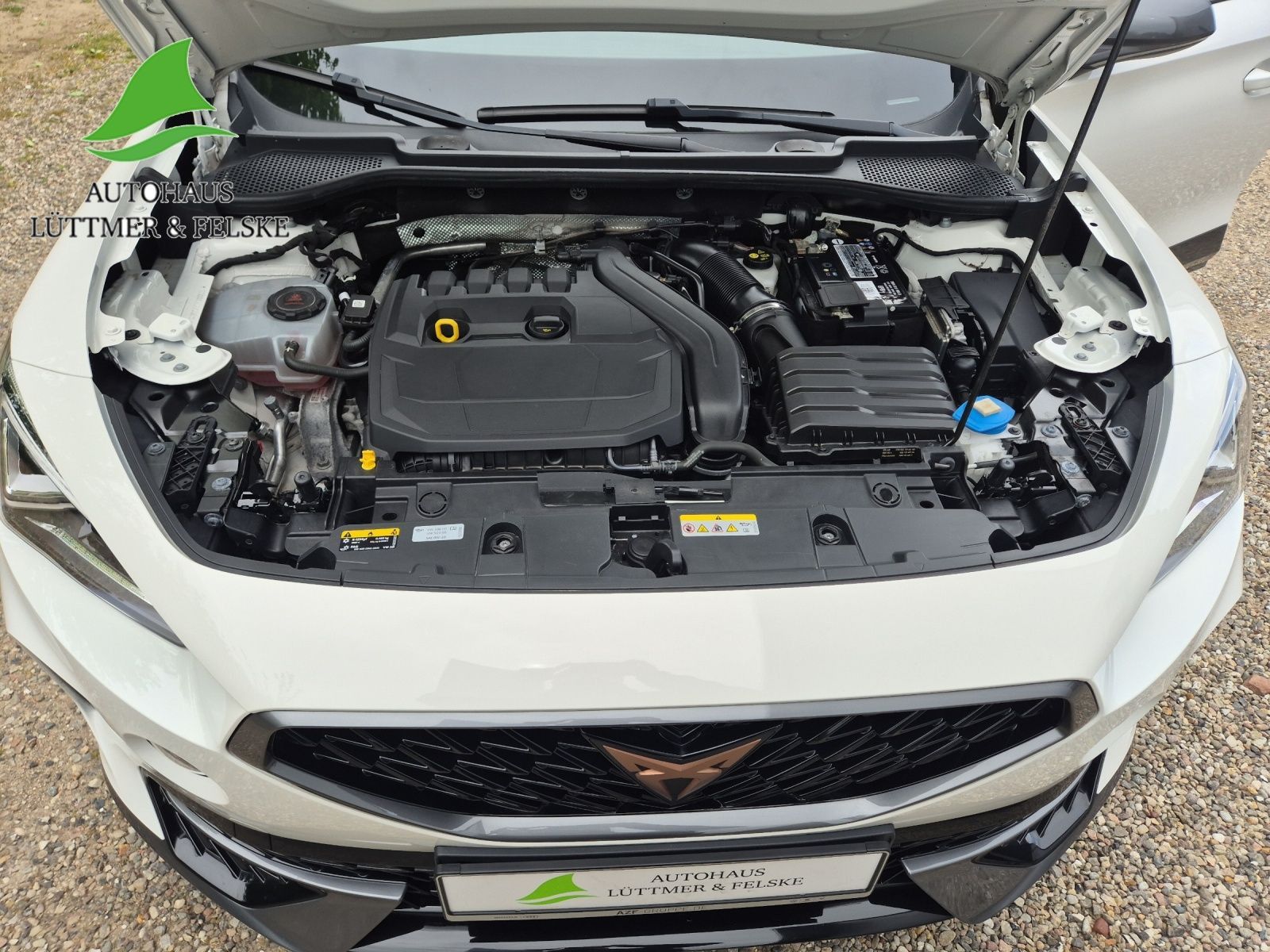 Cupra Formentor 1.5 TSI DSG - Samsaru's Car Outlet