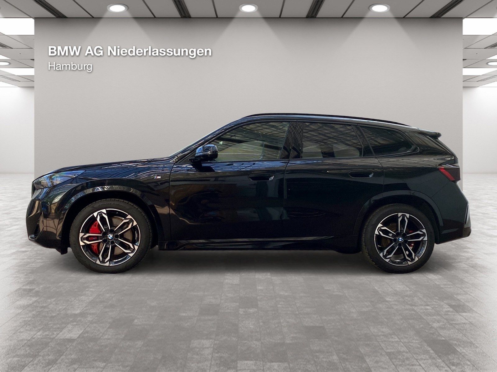 BMW X1 xDrive20d M Sport Leder AHK Driv.Assist+ Harm