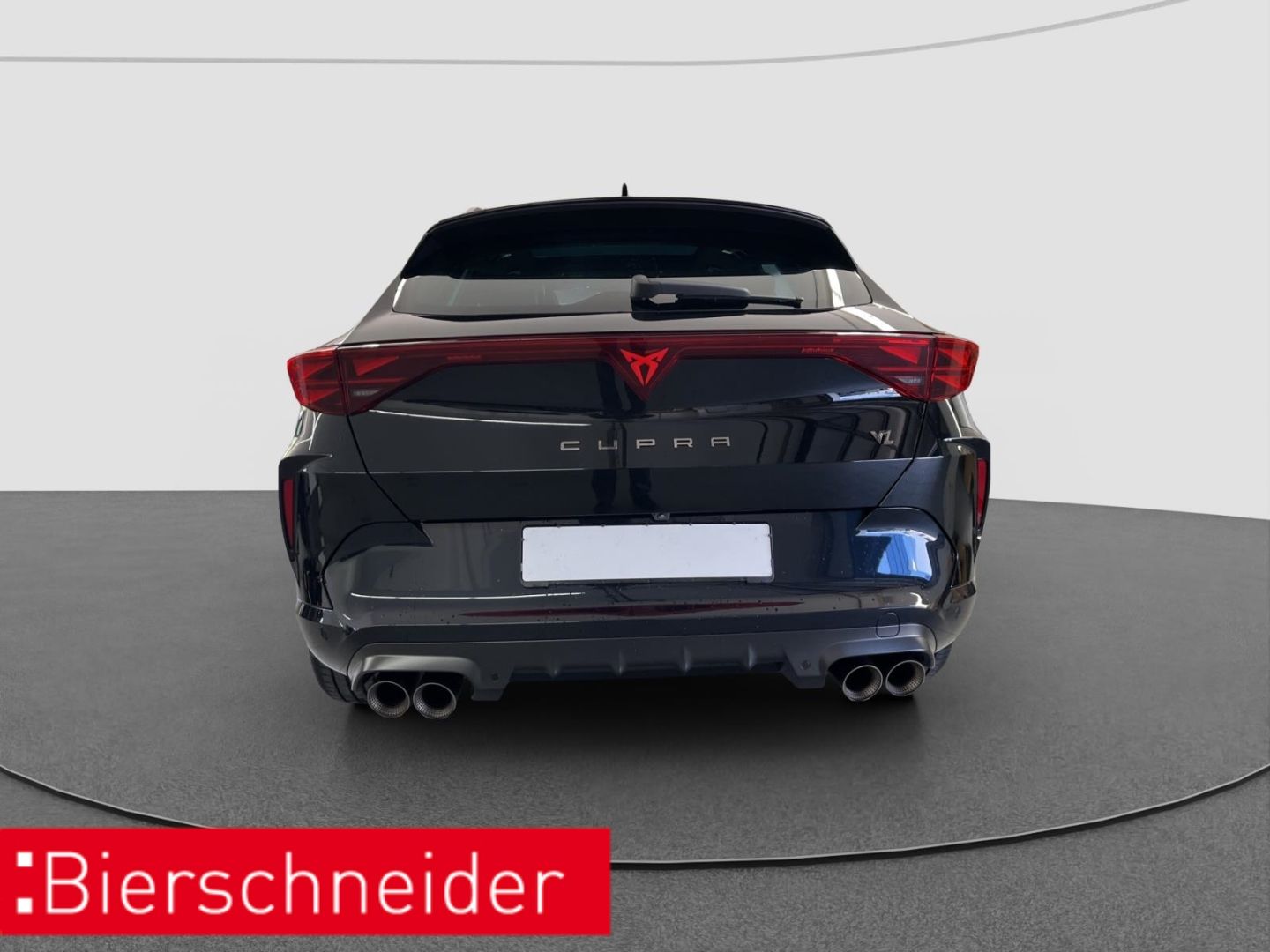 Cupra Formentor 2.0 TSI DSG 4Drive VZ Extreme AKRA AHK