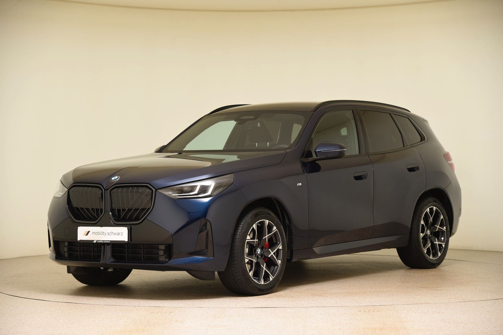 BMW X3 20d xDrive M Sport Pro ACC LED Pano AHK 360°