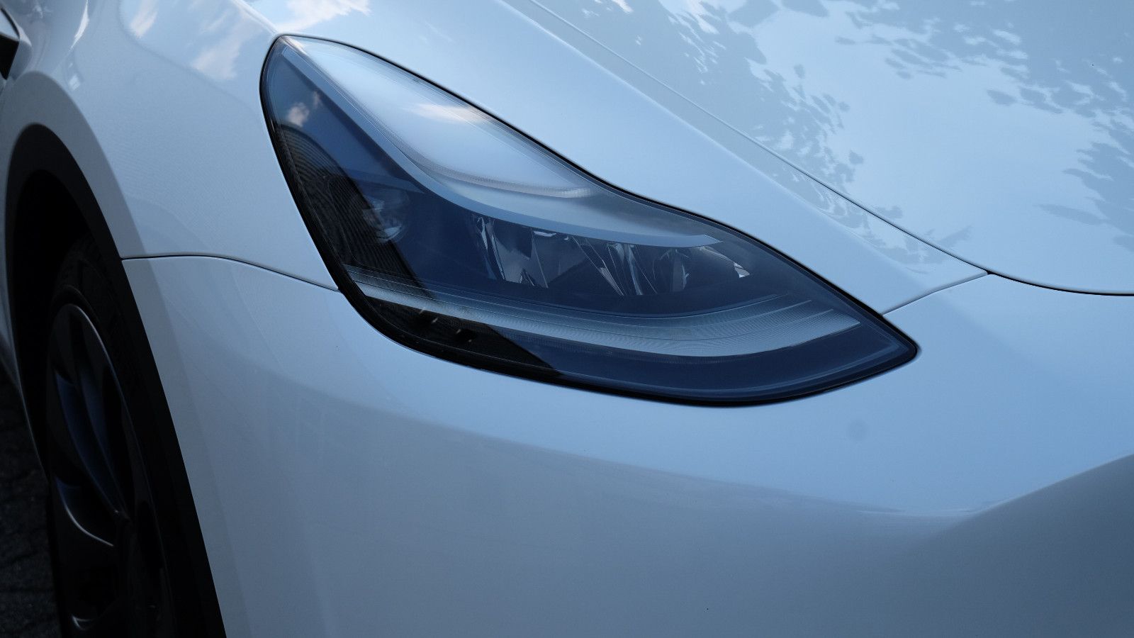 Tesla Model Y Performance Dual Motor AWD, LM 21"