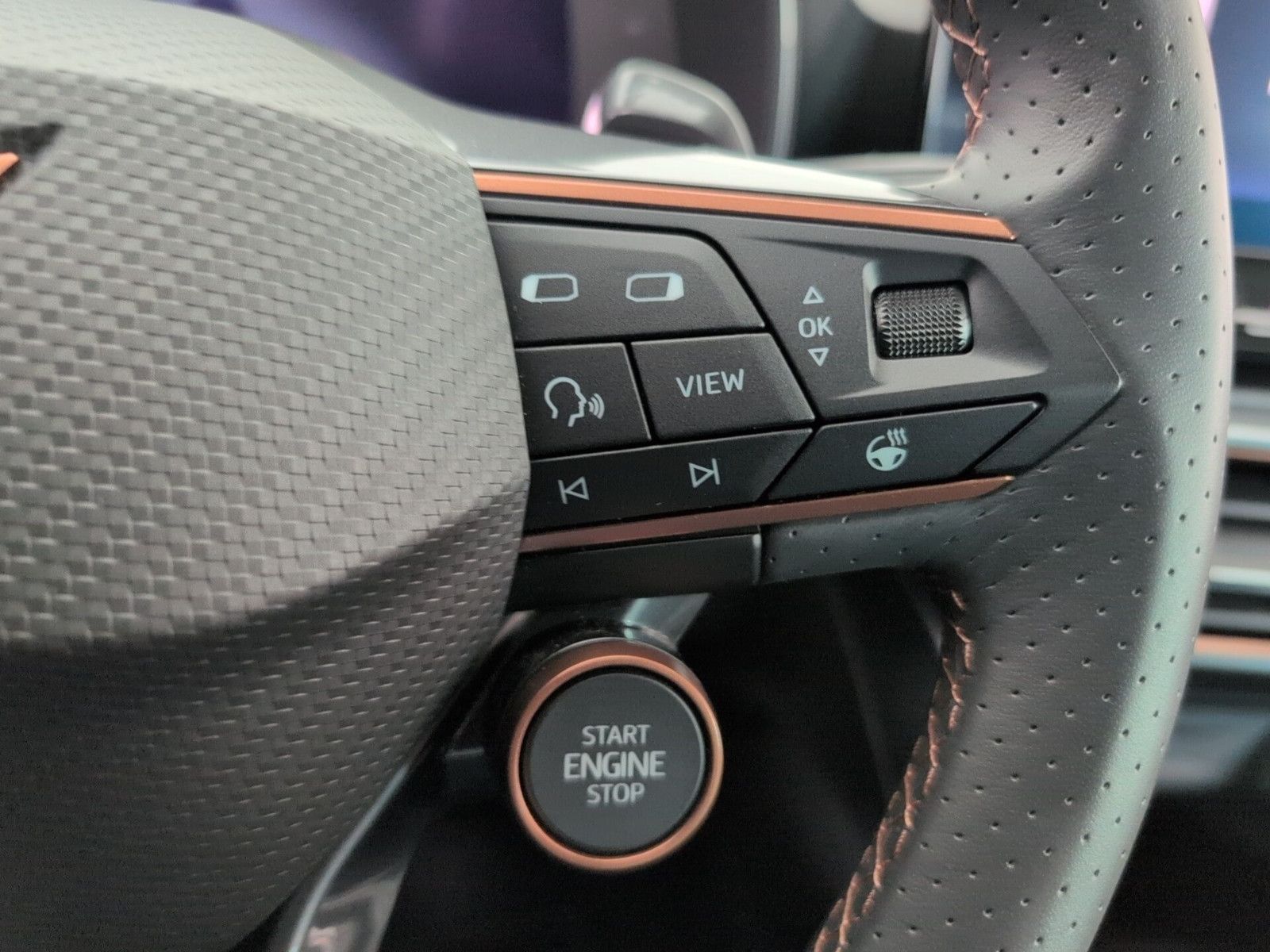 Cupra Formentor 2.0 TSI VZ AHK PANO LEDER COPPER MATT