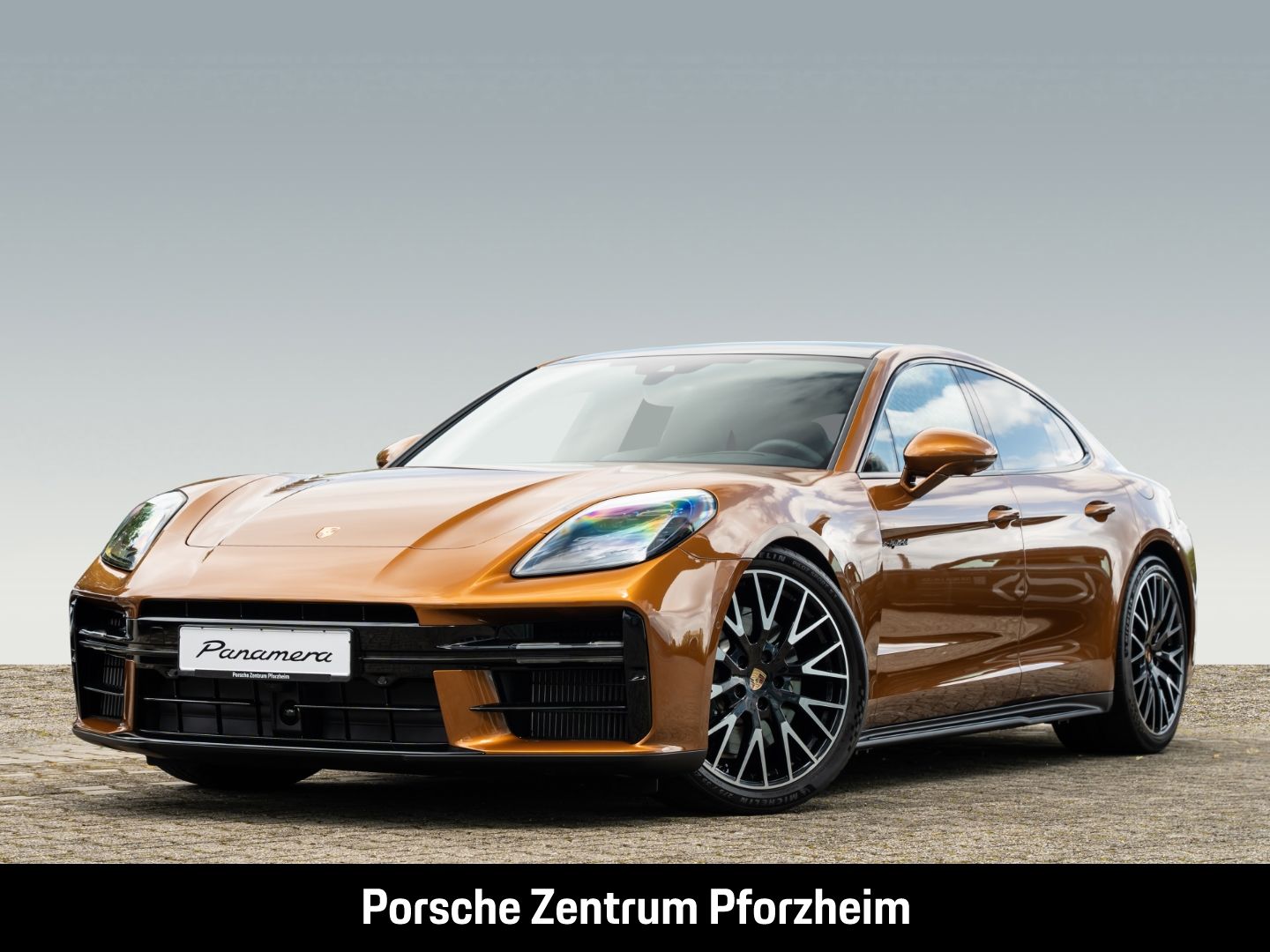 Porsche Panamera 4 E-Hybrid SportDesign Paket HD-Matrix