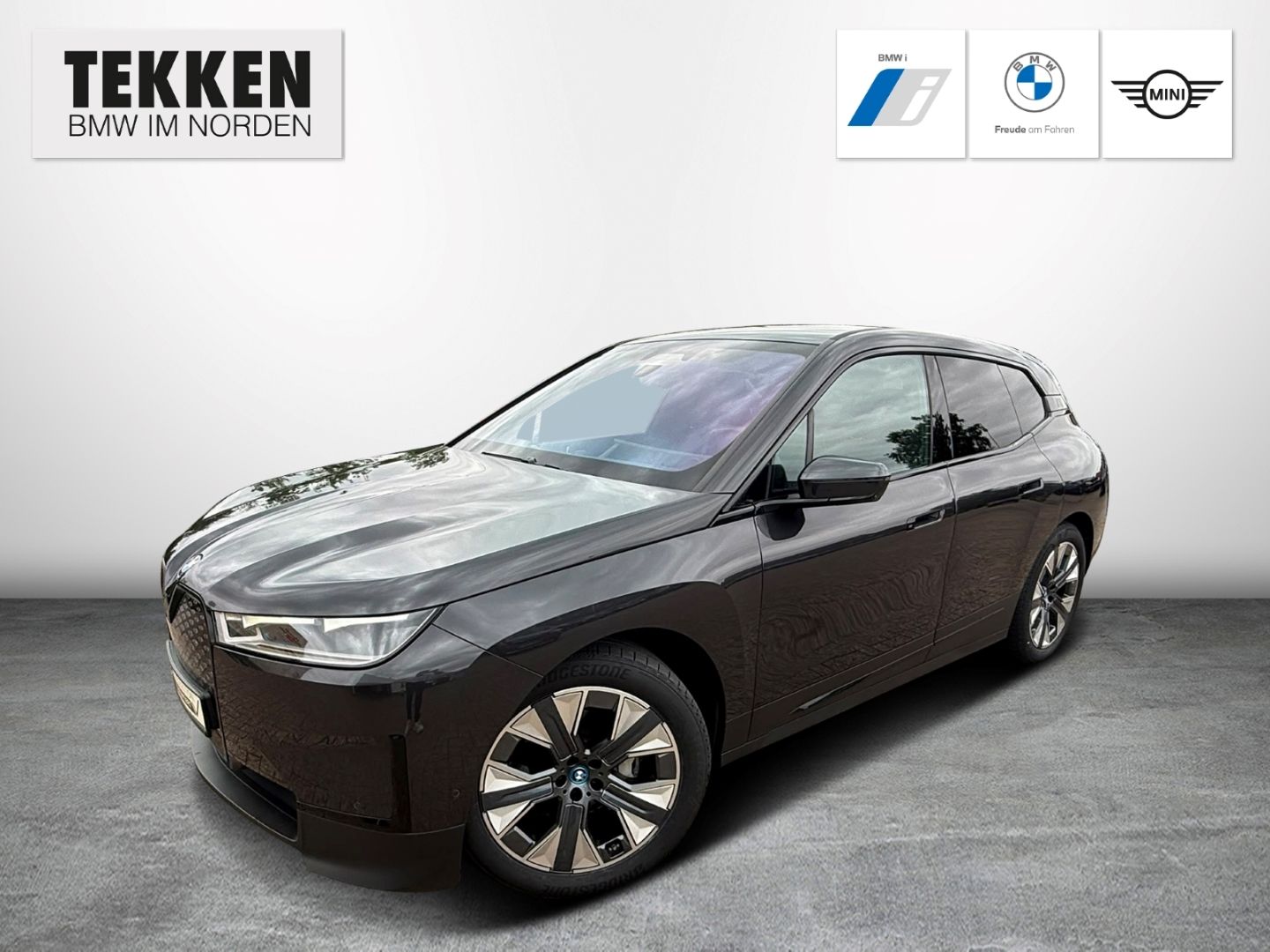BMW iX xDrive40 AHK H/K Komfortz. Driv. Ass. Prof.