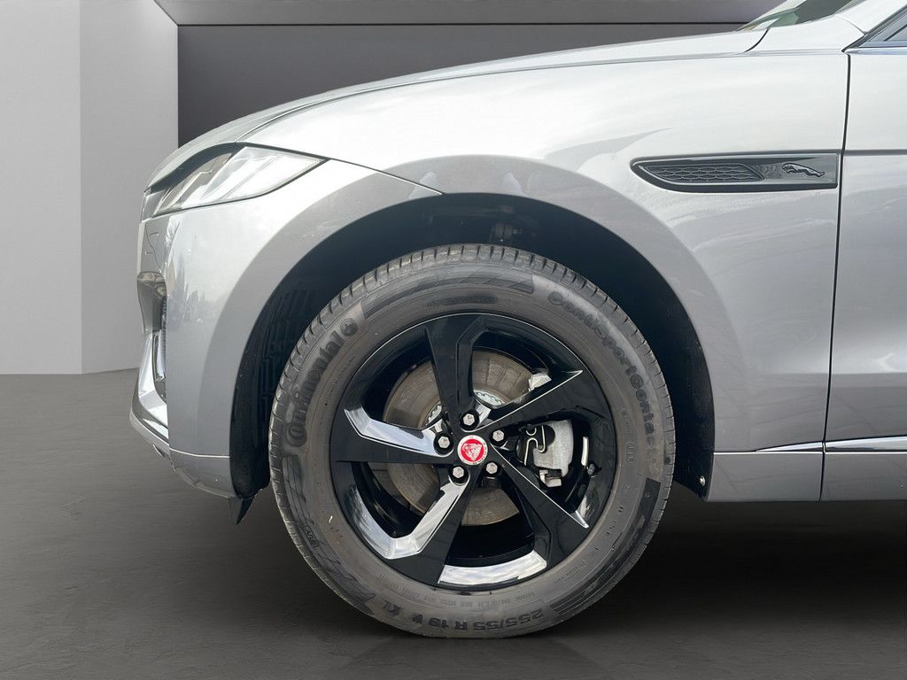 Jaguar F-Pace P250 R-Dynamic S AWD LED PANO ACC 19" AHK