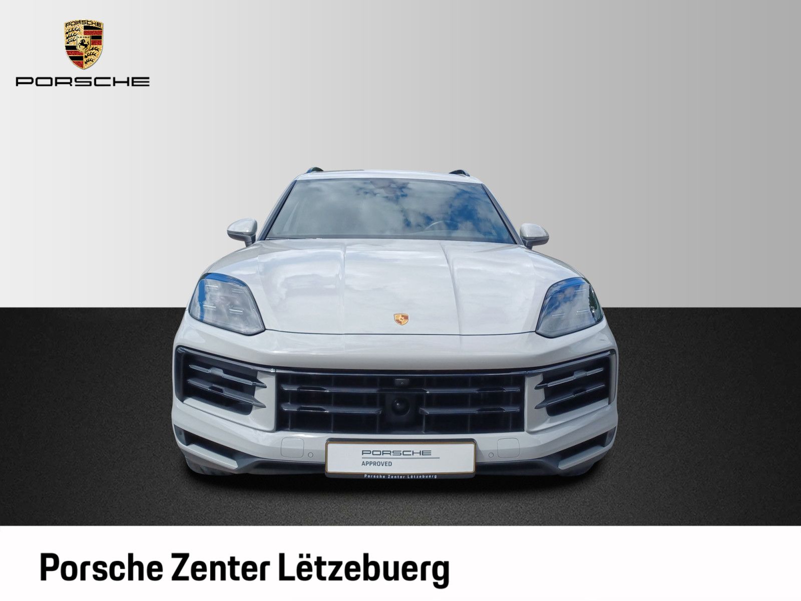 Porsche Cayenne CAYENNE E -HYBRID
